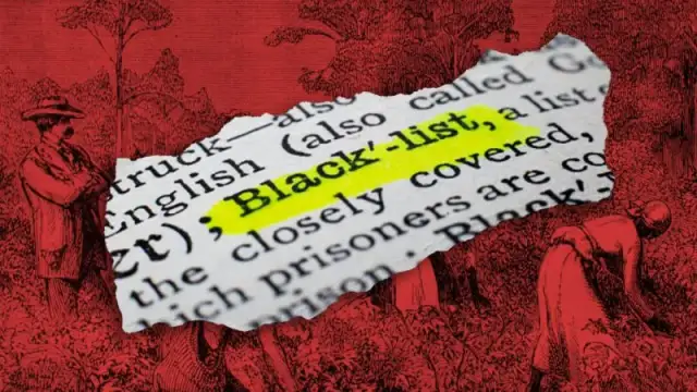 Am I Racist: Lustro dla społeczeństwa