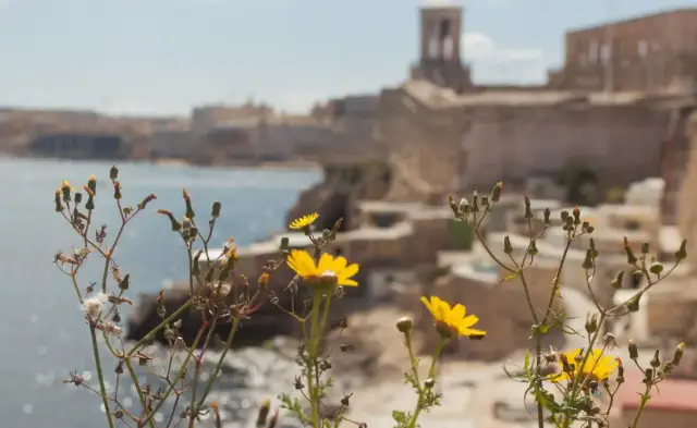Malta czy bezpiecznie? Oto co musisz wiedzieć przed podróżą