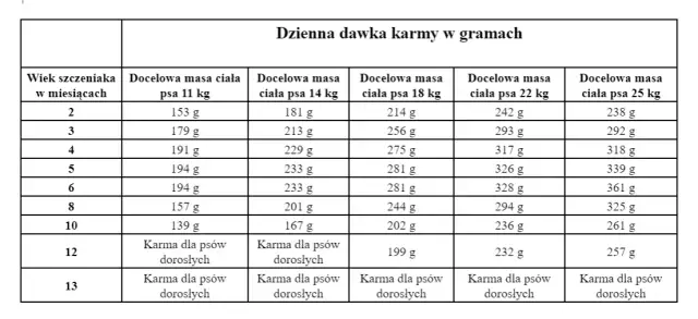 Karmienie szczeniaka ile razy dziennie? Harmonogram według wieku psa