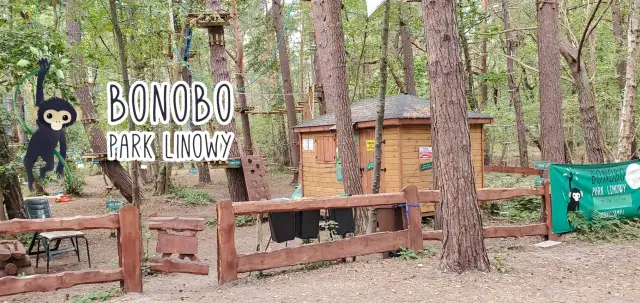 Park Linowy Bonobo Hel: Trasy, cennik i opinie przewodnik