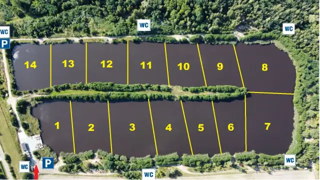Widok z lotu ptaka na łowisko Borowy Staw. Stawy podzielone na sektory z numeracją od 1 do 14. Widać parking (P) i toalety (WC).