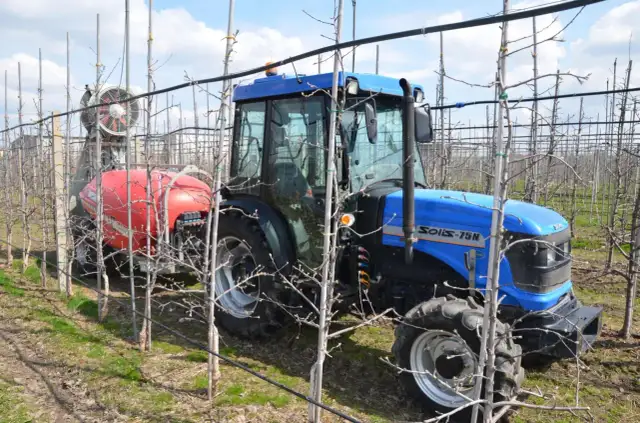 Niebieski traktor z opryskiwaczem w sadzie, przygotowany do zabiegu środkiem ochrony roślin, np. acetamiprydem, chroniącym młode drzewka.