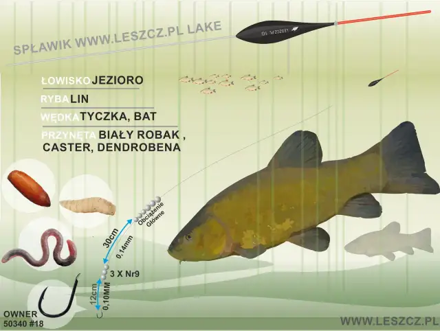 Jaki spławik na lina? Zestaw na jezioro: biały robak, caster, dendrobena, haczyk nr 9.