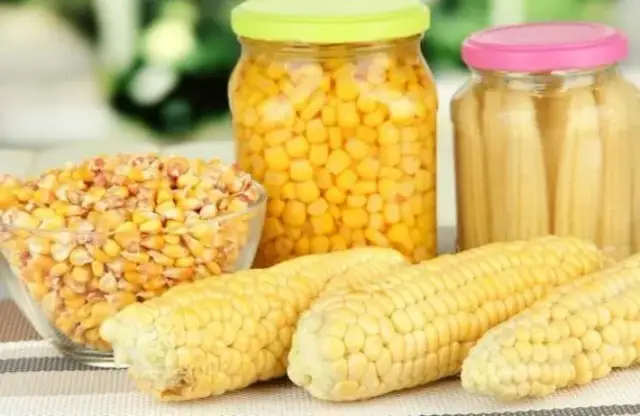 Ile kcal ma kukurydza z puszki? Sprawdź kaloryczność i wartości odżywcze