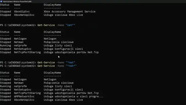 Wiersz poleceń PowerShell wyświetla listę usług sieciowych, w tym "netprofm" w stanie "Running".