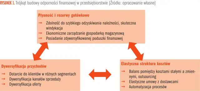 Trójkąt odporności finansowej: Płynność, Dywersyfikacja przychodów, Elastyczna struktura kosztów. Kluczowy jest kapitał zapasowy.
