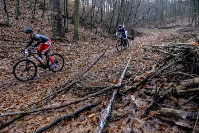 Pomorze: Najlepsze atrakcje: Trójmiejski Park Krajobrazowy