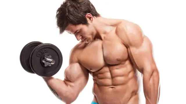 Cómo mejorar tu fuerza muscular y potenciar tu rendimiento físico