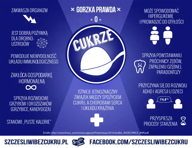 Cukier w diecie psa: dlaczego szkodzi i jak go unikać?