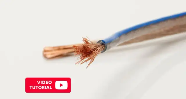 Fils de cuivre dénudés, prêts pour une connexion enceinte. Tutoriel vidéo disponible.