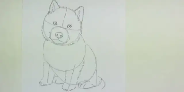 Jak łatwo narysować psa husky krok po kroku dla początkujących