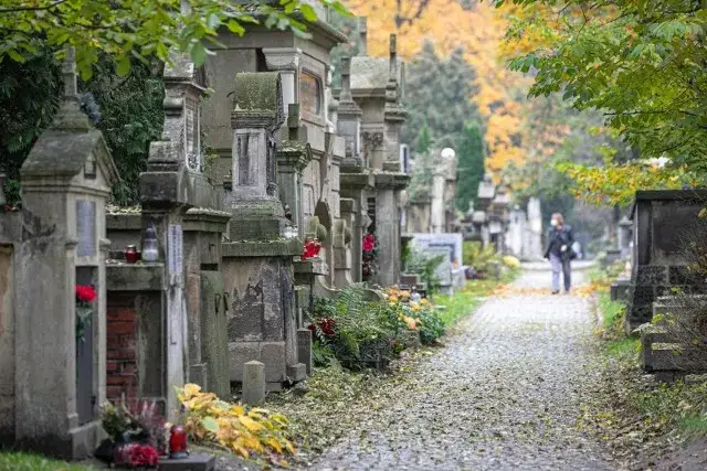 Jak dojechać na cmentarz Salwator w Krakowie mimo utrudnień?