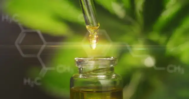 Jak używać olejku CBD: skuteczne metody i dawkowanie dla Ciebie