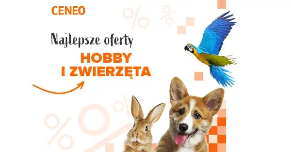 Ile kosztuje klatka dla papugi? Ceny, które zaskoczą każdego właściciela