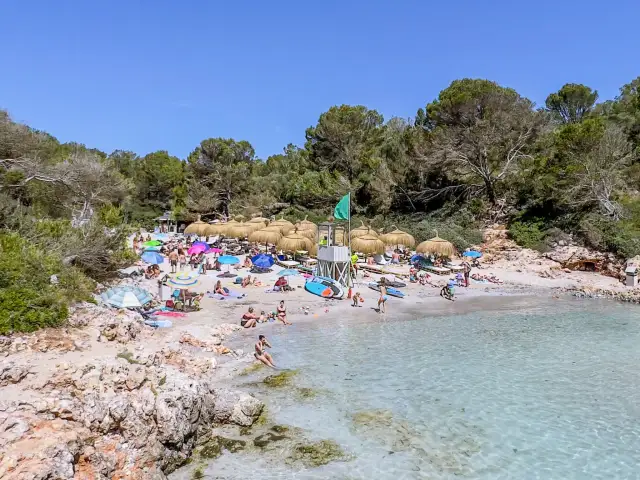 Słoneczna plaża z turkusową wodą, parasolami i ludźmi wypoczywającymi na piasku. To jedno z najpiękniejszych miejsc na Majorce.