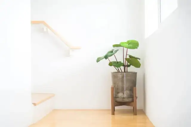 Jak zbudować drewniany kwietnik? Poradnik DIY krok po kroku