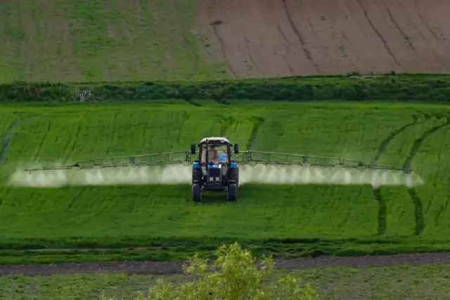 Traktor opryskuje pole środkiem zawierającym chlopyralid, dbając o zdrowie upraw.