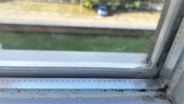 Pleśń na silikonie przy oknie - Jak ją usunąć i zapobiec nawrotom?
