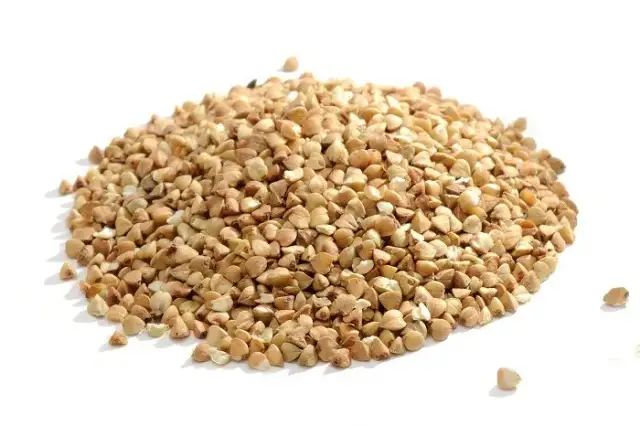 Czy w kaszy gryczanej jest gluten? Dowiedz się, co musisz wiedzieć