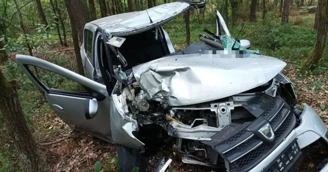 Zniszczony samochód w lesie po wypadku. Luźny zderzak mógł przyczynić się do tragicznych skutków jazdy na autostradzie.