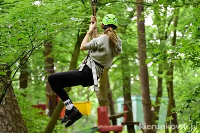 Park Linowy Bluszcz Międzyzdroje: Ceny, trasy, godziny. Planuj przygodę!