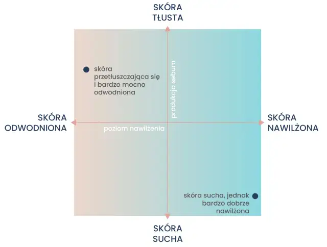 Wykres przedstawia typy skóry: odwodniona, tłusta, sucha i nawilżona. Jeden z punktów opisuje skórę przetłuszczającą się i bardzo mocno odwodnioną, co jest jednym z objawów odwodnienia.