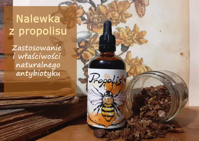 Jak stosować nalewkę z propolisu, aby skutecznie zwalczyć infekcje?
