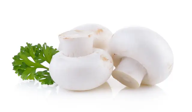 Ile kalorii ma pieczarka smażona? Sprawdź zaskakujące wartości!