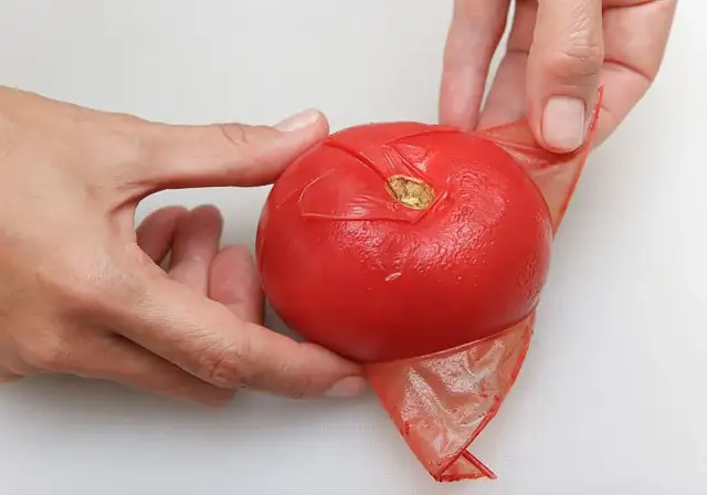 Manos pelando un tomate rojo, mostrando cómo quitar la piel fácilmente.