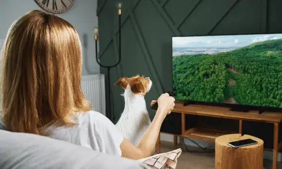 Czy Twój TV ma Bluetooth? Odkryj proste sposoby weryfikacji!