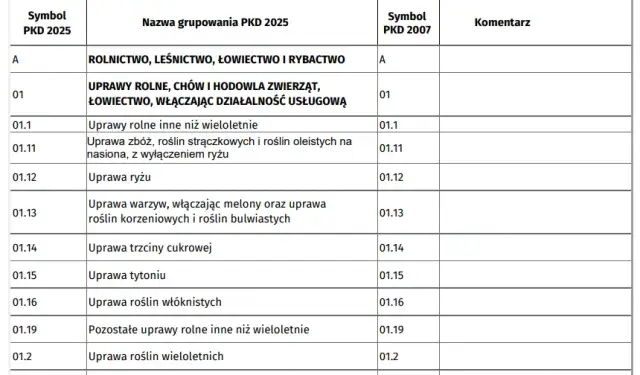 Przeważające PKD krok po kroku: Jak bez stresu ustalić główny kod działalności