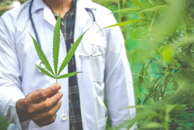 Medyczna marihuana gdzie kupić - krok po kroku do legalnego zakupu