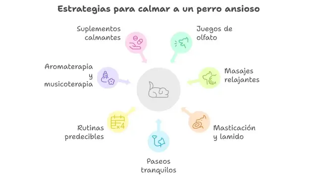 Estrategias para calmar a un perro ansioso: suplementos, aromaterapia, juegos, masajes, masticación, paseos y rutinas predecibles.