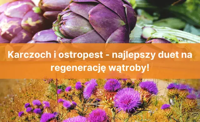 Karczoch czy ostropest – co naprawdę lepiej wspiera zdrowie wątroby?