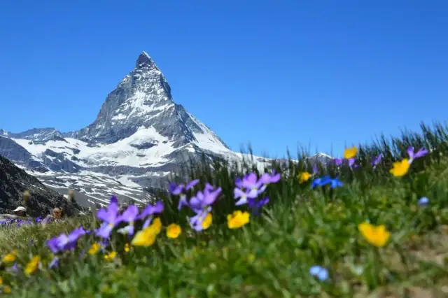 Urlaub in den Bergen: Ihre Top-Regionen & Tipps für 2024