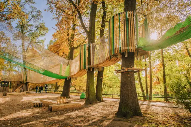 Park linowy Druskienniki - atrakcje, ceny biletów i opinie odwiedzających