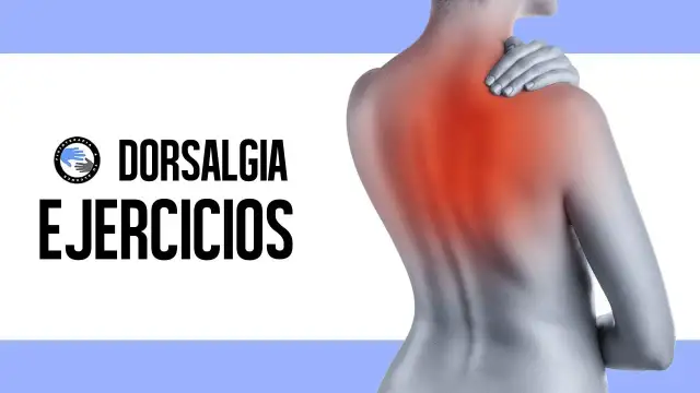 ¿Contractura en la espalda alta? Alivia el dolor y prevénla.