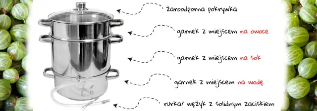 Jak zrobić sok z aroni w sokowniku - proste kroki do smaku zdrowia