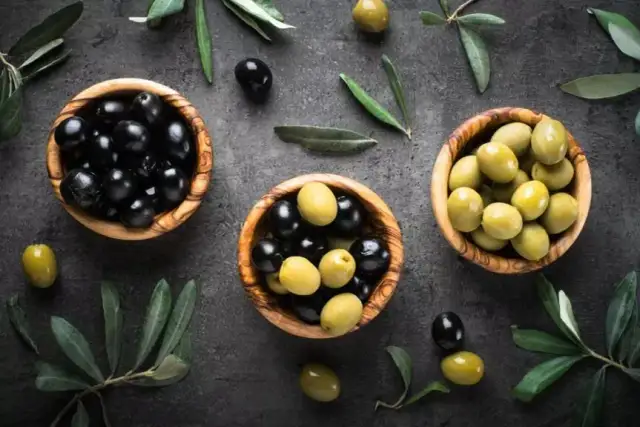 Czy pies może jeść oliwki? Poznaj zasady bezpieczeństwa i zdrowia pupila