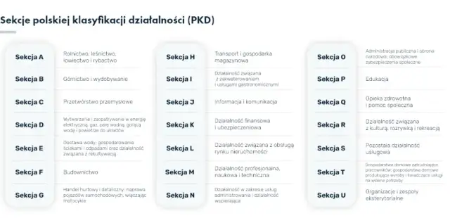 Pkd czy pkwiu – kluczowe różnice, które musisz znać dla działalności