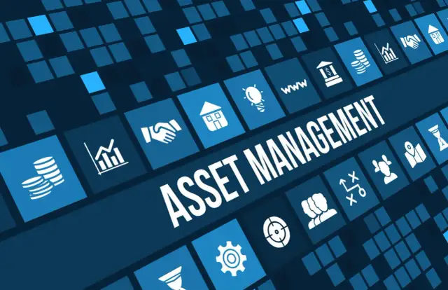 Asset Management: Co to jest i jak pomnożyć kapitał?
