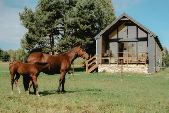 Matka z źrebięciem na zielonej łące przed nowoczesnym domem. Uroczy ośrodek Rancho Drzecin zaprasza do odpoczynku.