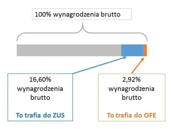 OFE czy ZUS? Decyzja o emeryturze: wybierz mądrze i świadomie