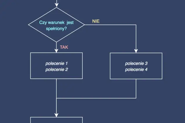 Instrukcje warunkowe: Co to jest i jak działają? Przykłady