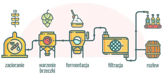 Jak powstaje piwo bezalkoholowe 0,0%? Metody, skład i smak