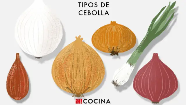 Tipos de cebolla - Cómo elegir la variedad ideal para cada receta