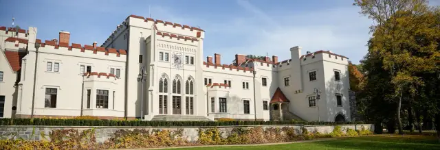 Zabytkowy pałac radolińskich w Jarocinie: historia neogotyckiej rezydencji