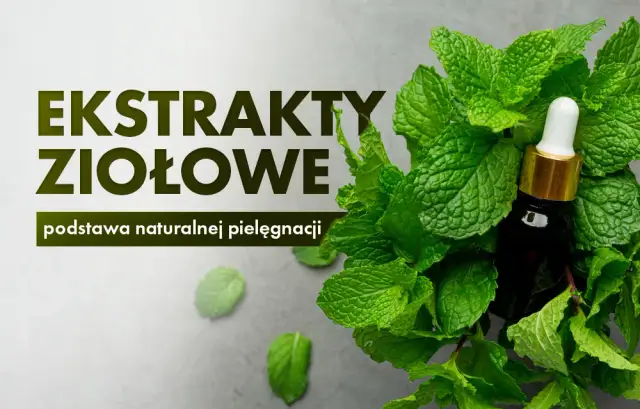Jak zrobić ekstrakt roślinny - proste metody na naturalne lekarstwa