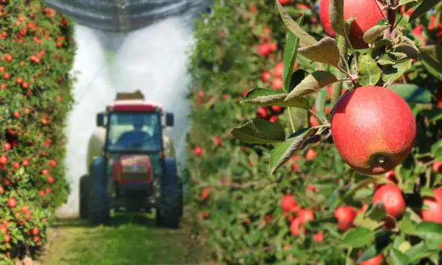 Fundusz ochrony rolnictwa – kiedy zaczyna działać i jakie ma cele?