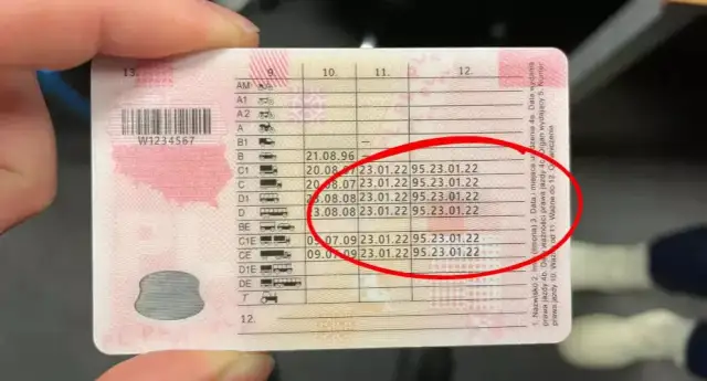 Jak wygląda prawo jazdy z kodem 95? Sprawdź, co musisz wiedzieć o jego wyglądzie i oznaczeniach